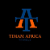 Timam Africa Logo