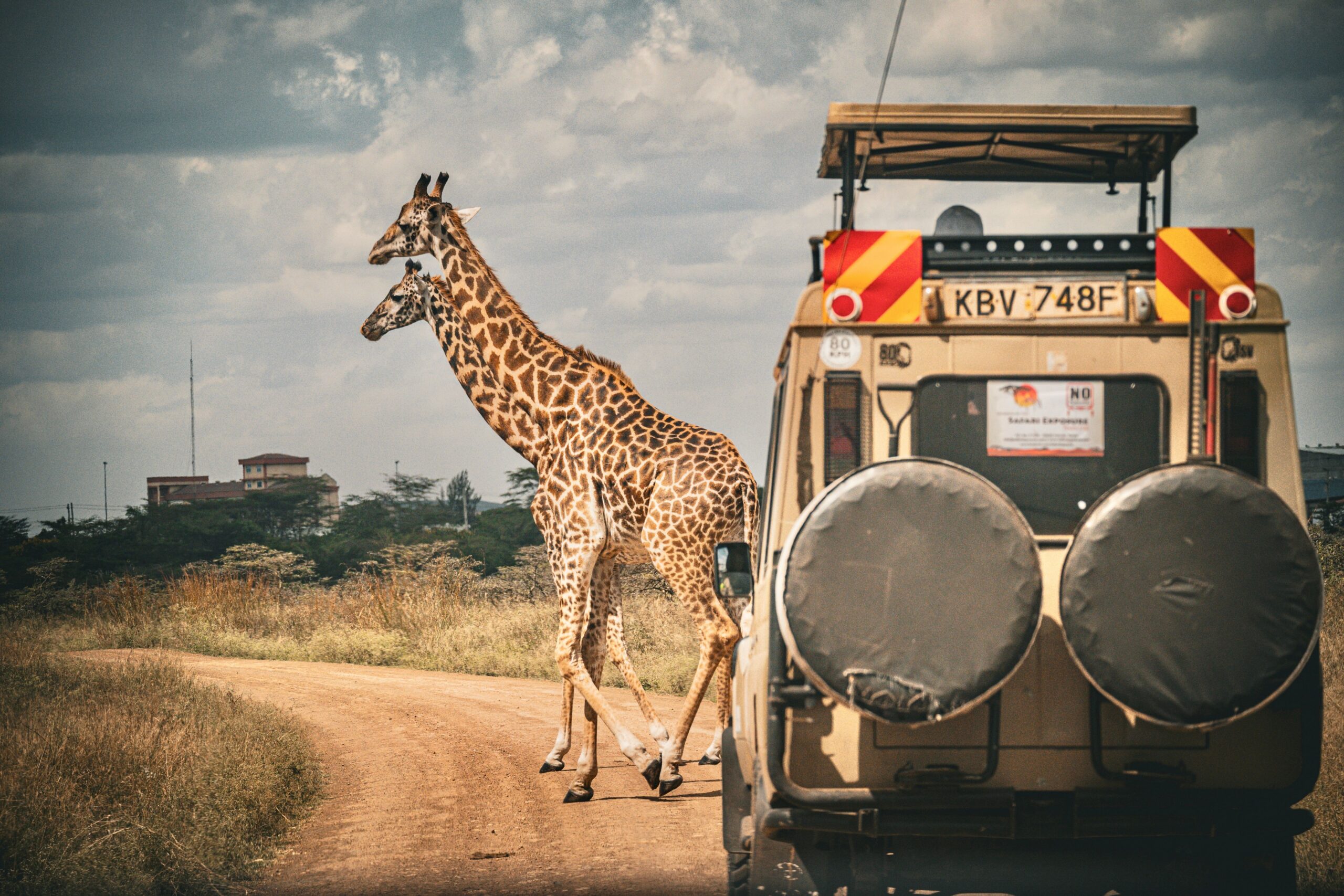Travel & Experiences